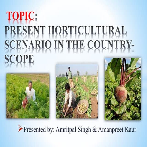 Horticulture scenario in the country -scope.pptx