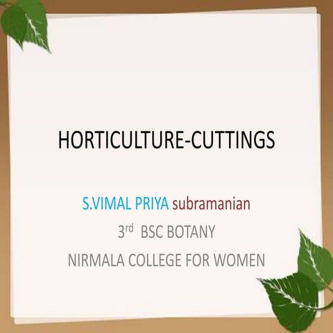 Horticulture cuttings technique