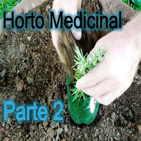 Horto medicinal  2