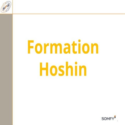 HOSHIN.pptsdsqsdqdqsQQQQQQQQQQQQQQQQQQQQdqqsdqsdq