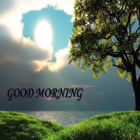 Hospital waste management