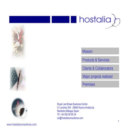 Hostalia 2009 Consulting