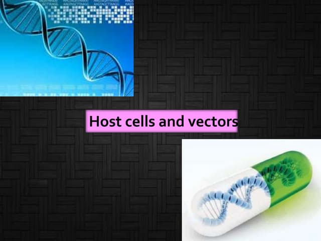 Host cell and vectors