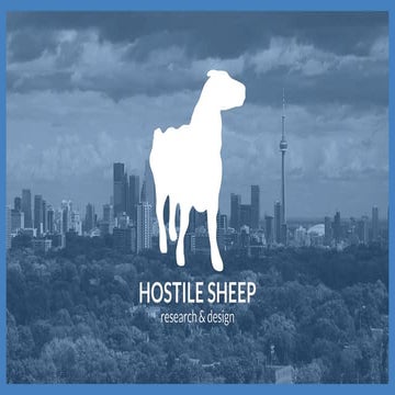 Introducing Hostile Sheep 2019