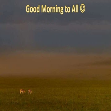 Host Modulation: Controlling the Inflammation to Control the Infection.