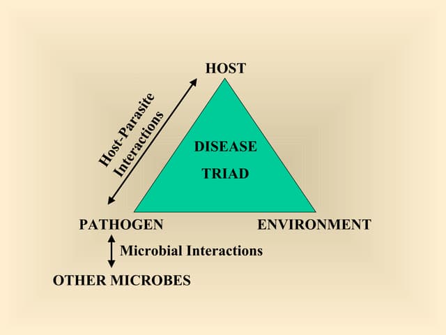 Host pathogen interactions 