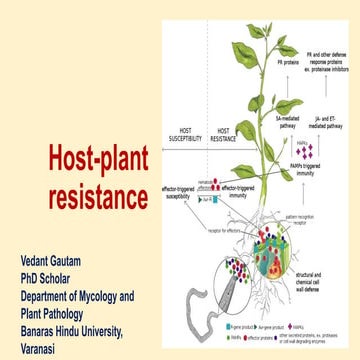 Host plant interaction.pptx