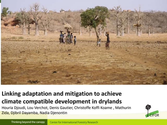 thumbnail of  Linking adaptation and mitigation to achieve climate compatible development in drylands