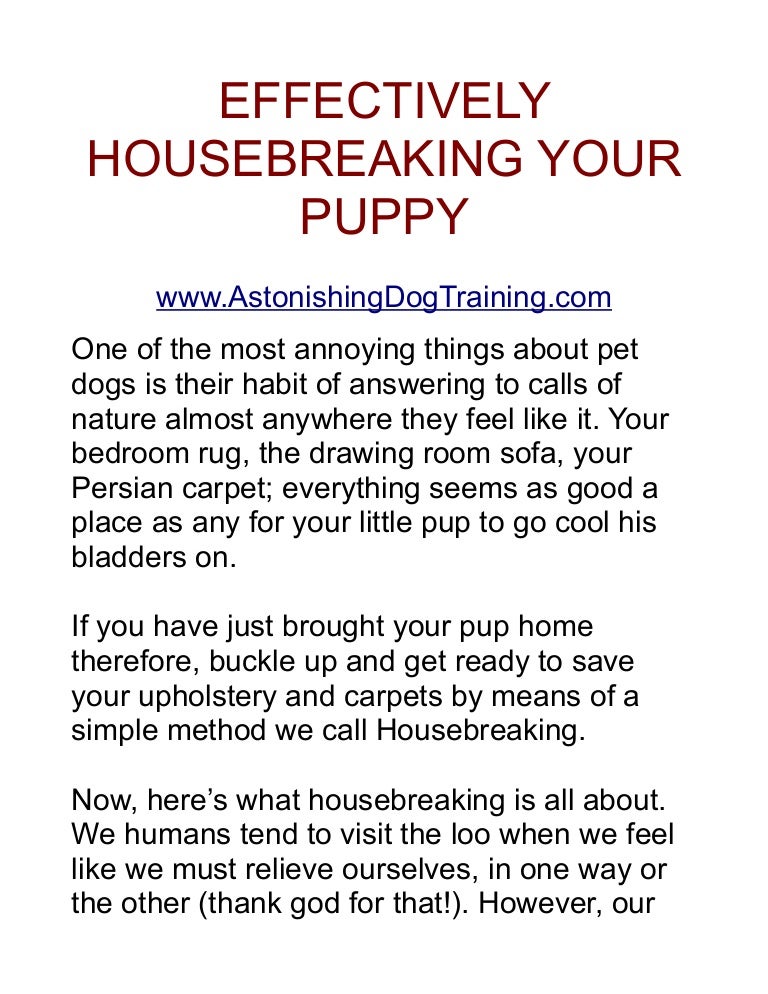 Housebreaking A Puppy