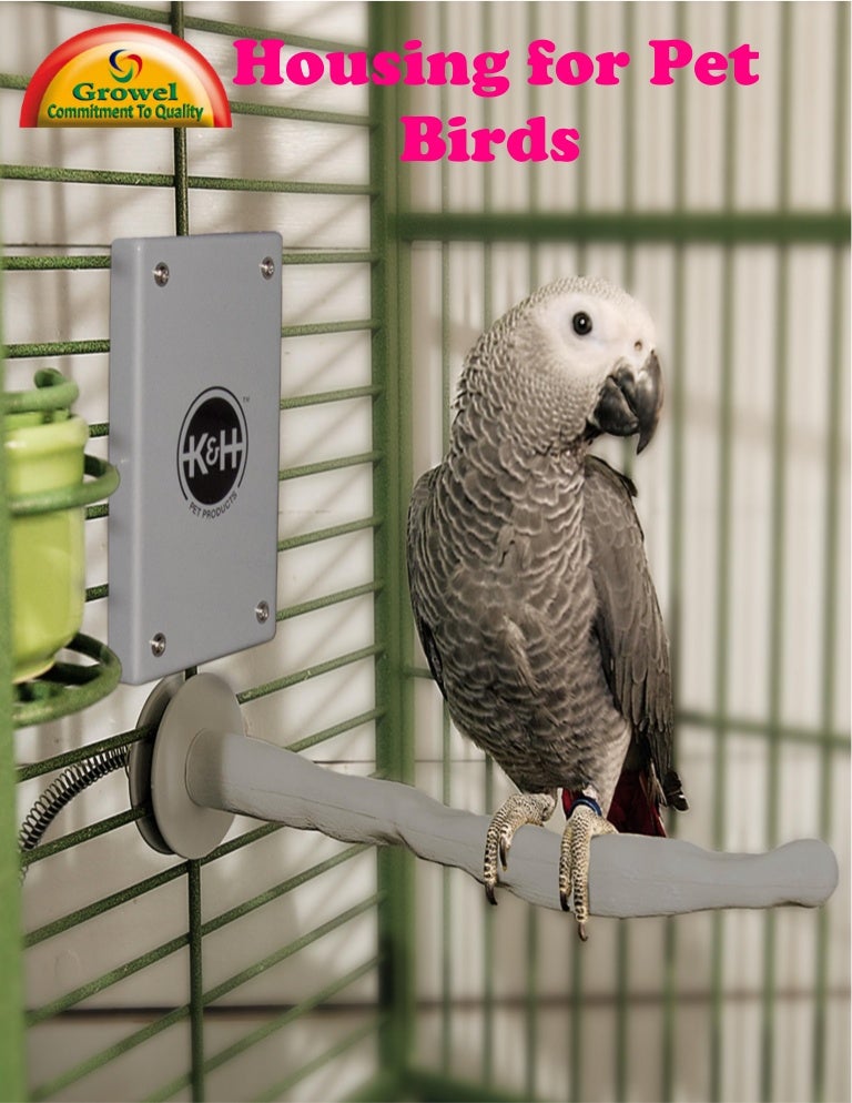 avitech bird supplies