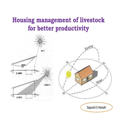 scientific housing system of farm animal for better productivity