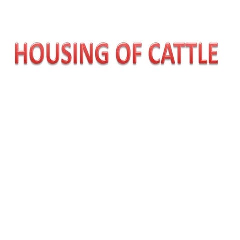 HOUSING OF CATTLE.pptx