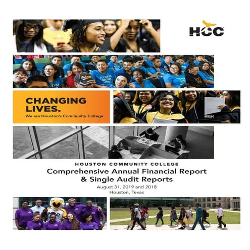 2018-2019 Comprehensive Annual Financial Report