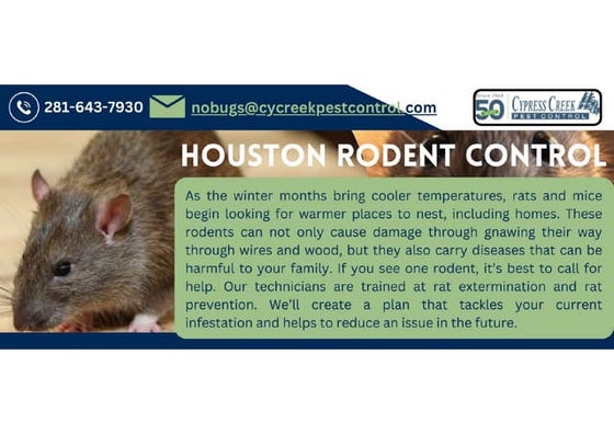 Termite Control Houston.pdf