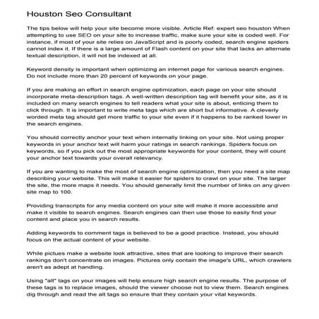 Houston Seo Consultant