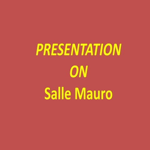 Houston's premier fencing academy