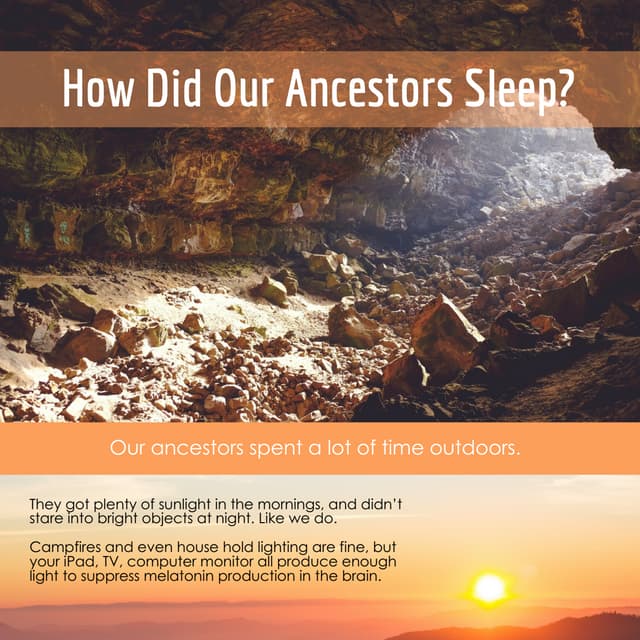 How Did Our Ancestors Sleep? PDF