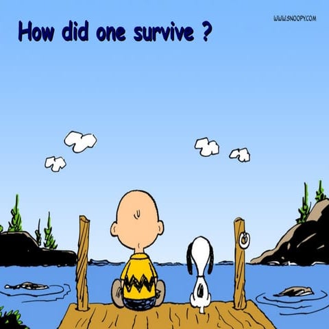 How Did One Survive...