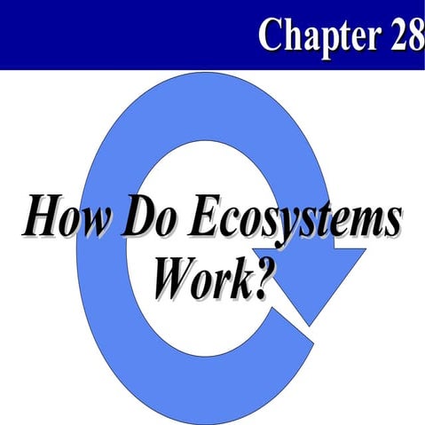 How Ecosystems Work APBio