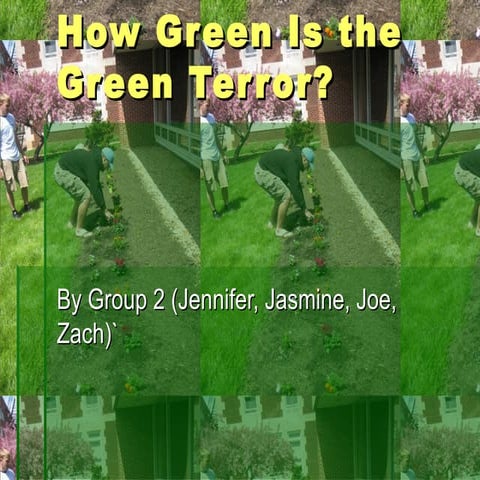 How Green Is The Green Terror[1]