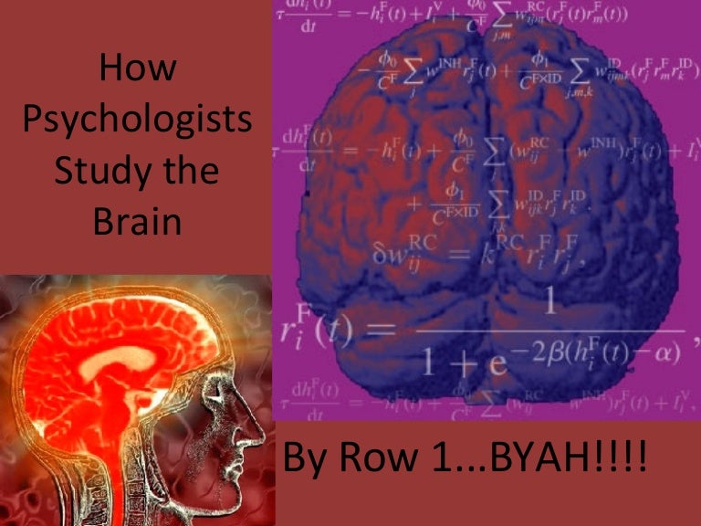 How Psychologists Study The Brain