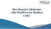 How react js-collaborates-with-wordpress-for-headless-cms