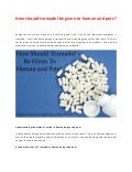 Tramadol Dosage For Dogs How It S Used
