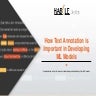 How Text Annotation Plays an Important Role for ML Models