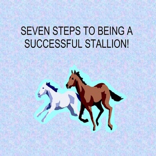 How To Be A Successful Stallion