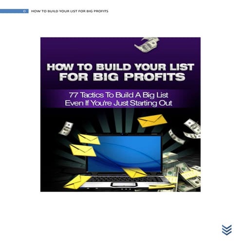 Make Money Online - Build Your List for BIG Profits
