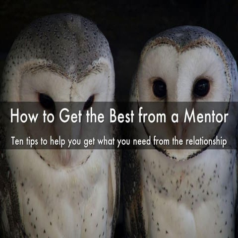 How to Get the Best from a Mentor