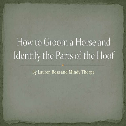 How To  Groom A  Horse And  Identify The