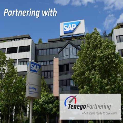 How to Partner with SAP