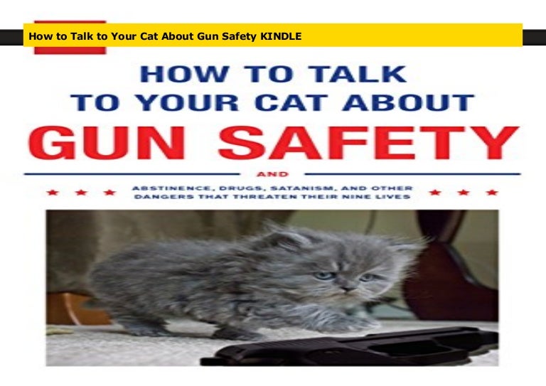 How to Talk to Your Cat About Gun Safety KINDLE