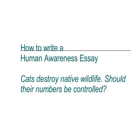 How To Write A Human Awareness Essay