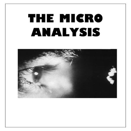 FM1: How To Write The Micro Features Essay