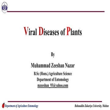 HoW86caBLJCa6ZHJ836.pptx