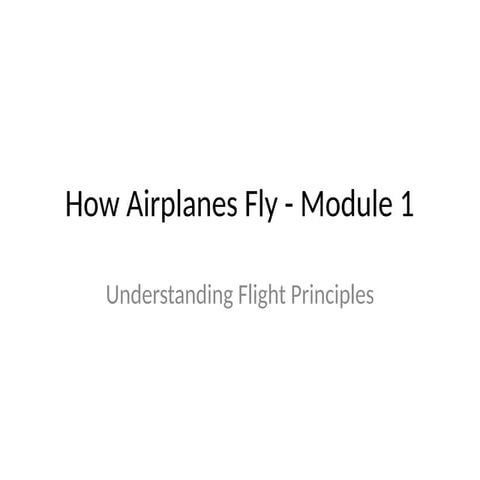 How airplanes fly_the forces_these law and principles