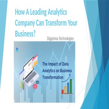 How A Leading Analytics Company Can Transform