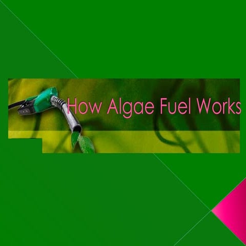 How algae fuel works