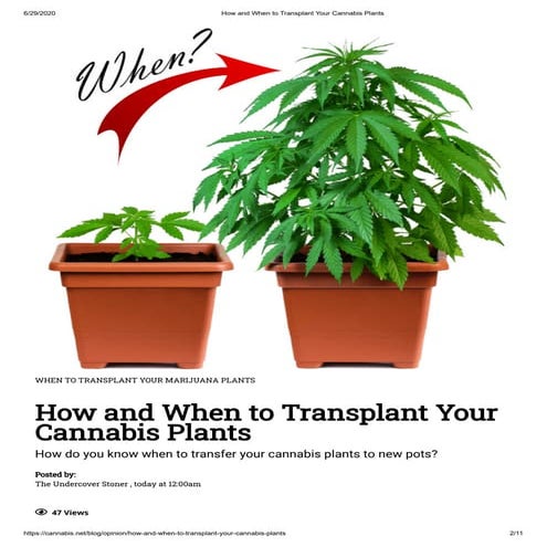 How to Grow Cannabis? | PDF