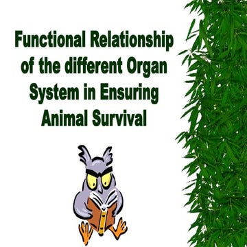 How animals SurviveHow animals SurviveHow animals Survive.ppt