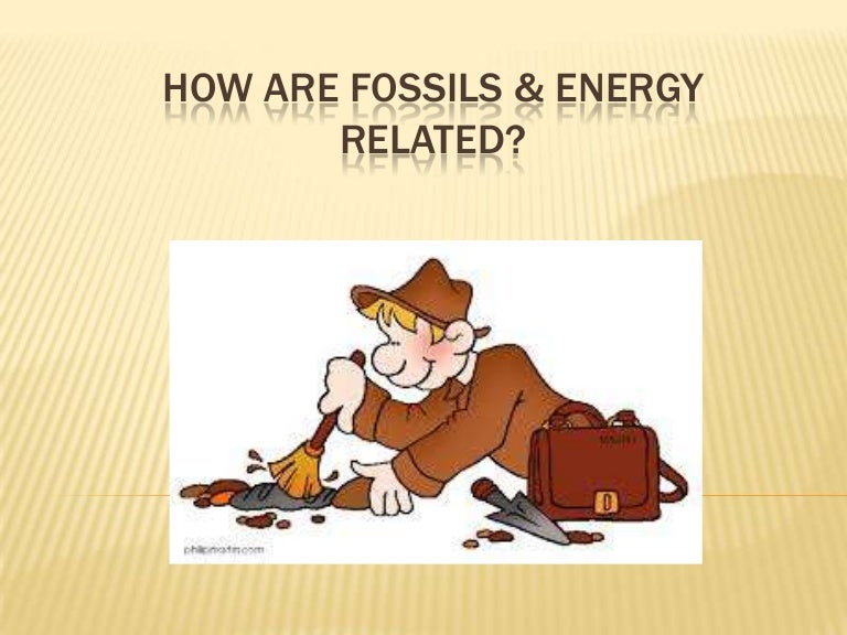 How are fossils & energy related