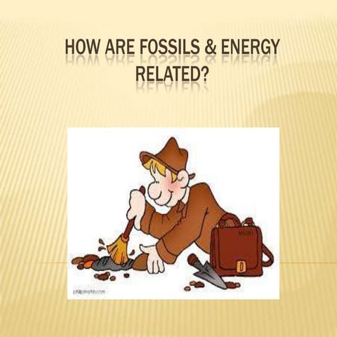 How are fossils & energy related