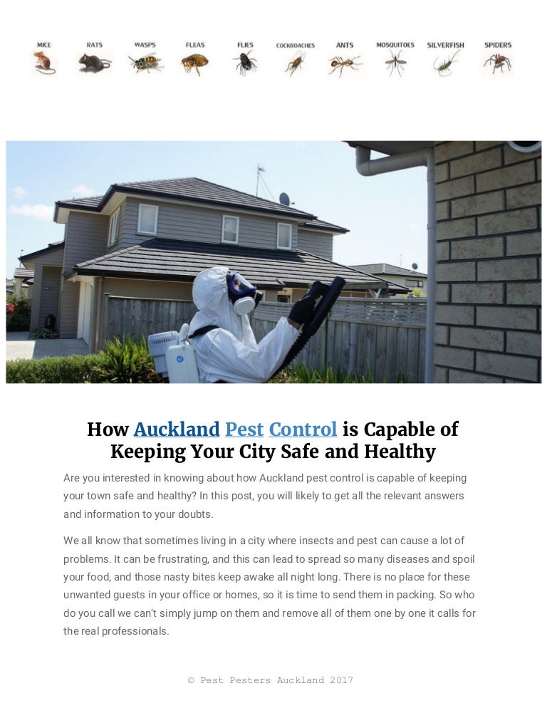 How Auckland Pest Control Protect Your City Safe and Healthy