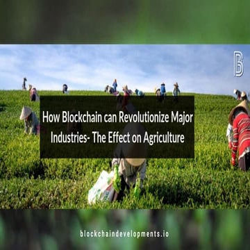 How Blockchain can Revolutionize Major Industries- The Effect on Agriculture