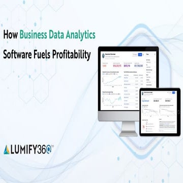 How Business Data Analytics Software Fuels Profitability