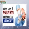 How Can Ayurveda Treat Renal Atrophy