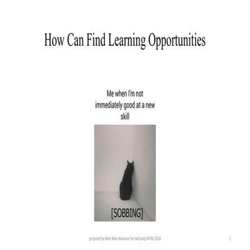 MYEO, Myanmar Youth Empowerment Opportunities 101 | PDF