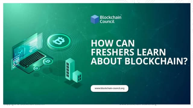 How can freshers learn about blockchain 
